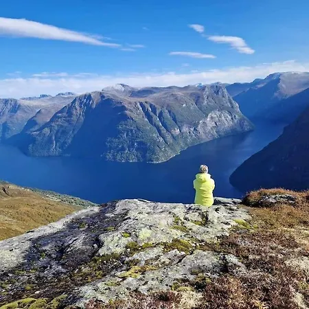 Апартаменты Fjellhagen - Geirangerfjord View Хеллезилт