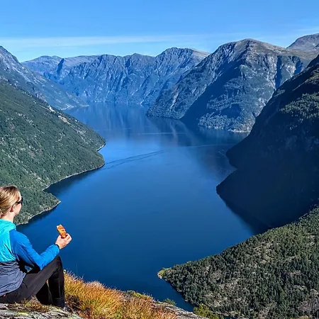 Fjellhagen - Geirangerfjord View